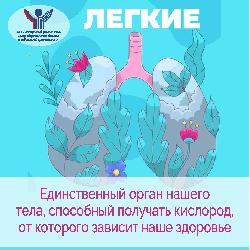 С 6 по 12 мая 2024 года проводится Неделя сохранения здоровья легких 