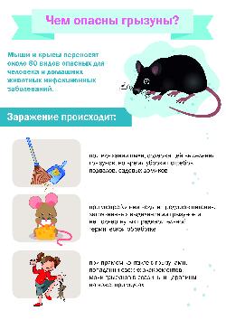 Заболевания, передающиеся грызунами