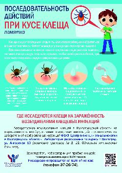 Готовимся к приходу клещей