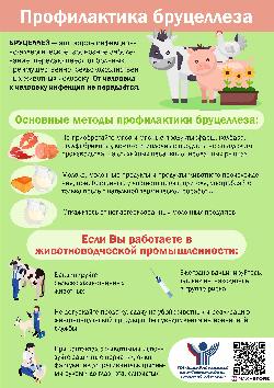 Мальтийская лихорадка на волжских берегах