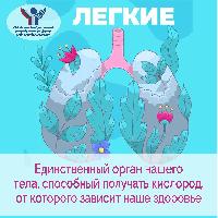 С 6 по 12 мая 2024 года проводится Неделя сохранения здоровья легких 