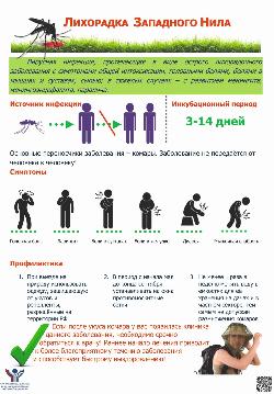 Как защитить себя от лихорадки Западного Нила: советы и профилактика 