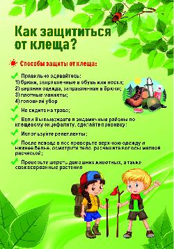 Правила защиты от укусов клещей