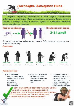Внимание! Лихорадка Западного Нила!