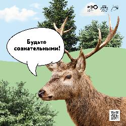 О проведении информационно-просветительской кампании по популяризации раздельного сбора и осознанного потребления