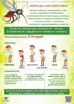 Лихорадка западного Нила не передается от человека к человеку