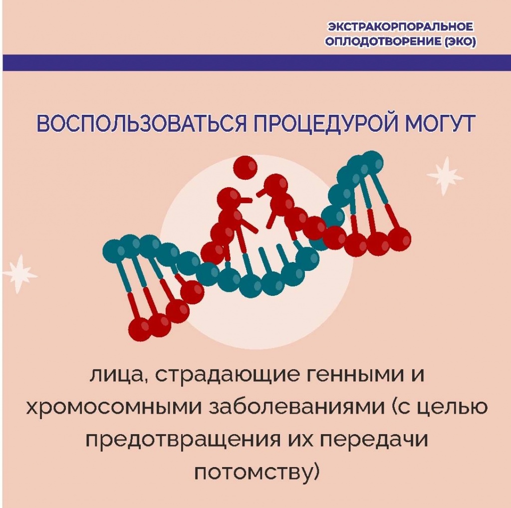ц6.jpg