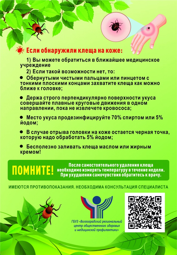 как-защититься-от-клеща-оборот-1.jpg